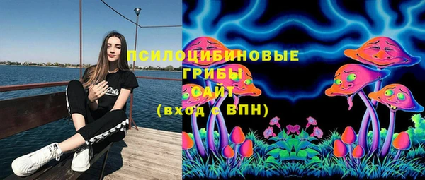 шишки Алзамай
